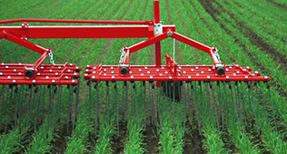 feild spray
